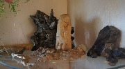 DSC07358.jpg