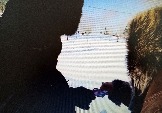 Вручение листовок (4)