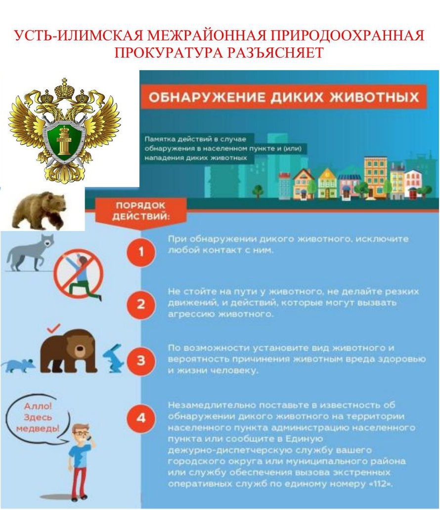 Ввиду участившихся случаях выхода диких животных к населенным пунктам поднадзорной территории, Усть-Илимской межрайонной природоохранной прокуратурой подготовлена информационная памятка, содержащие сведения о порядке действий граждан в таких ситуациях.