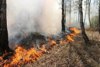 В районе зарегистрирован первый в этом году лесной пожар