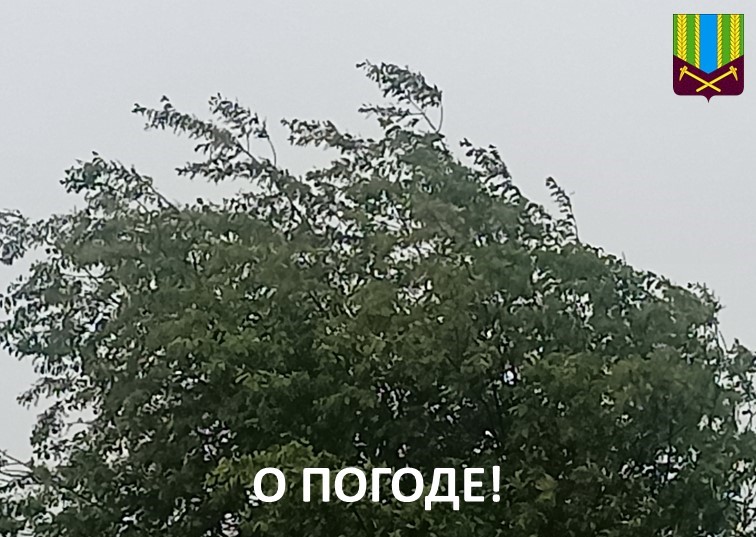 Предупреждение об опасных и неблагоприятных метеорологических явлениях погоды