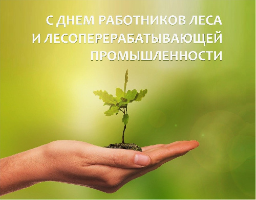 С Днем работников леса и лесоперерабатывающей промышленности!