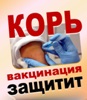 ПРОФИЛАКТИКА КОРИ