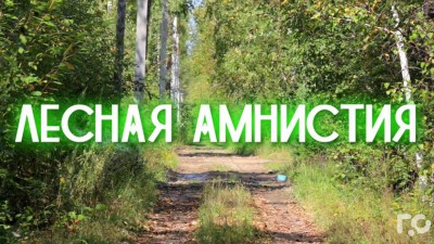 «Лесная амнистия» позволила сотням жителей Иркутской области сохранить права на свою недвижимость
