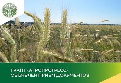 Министерством сельского хозяйства Иркутской области объявлен конкурс на предоставление за счет средств областного бюджета грантов в форме субсидий «Агропрогресс»