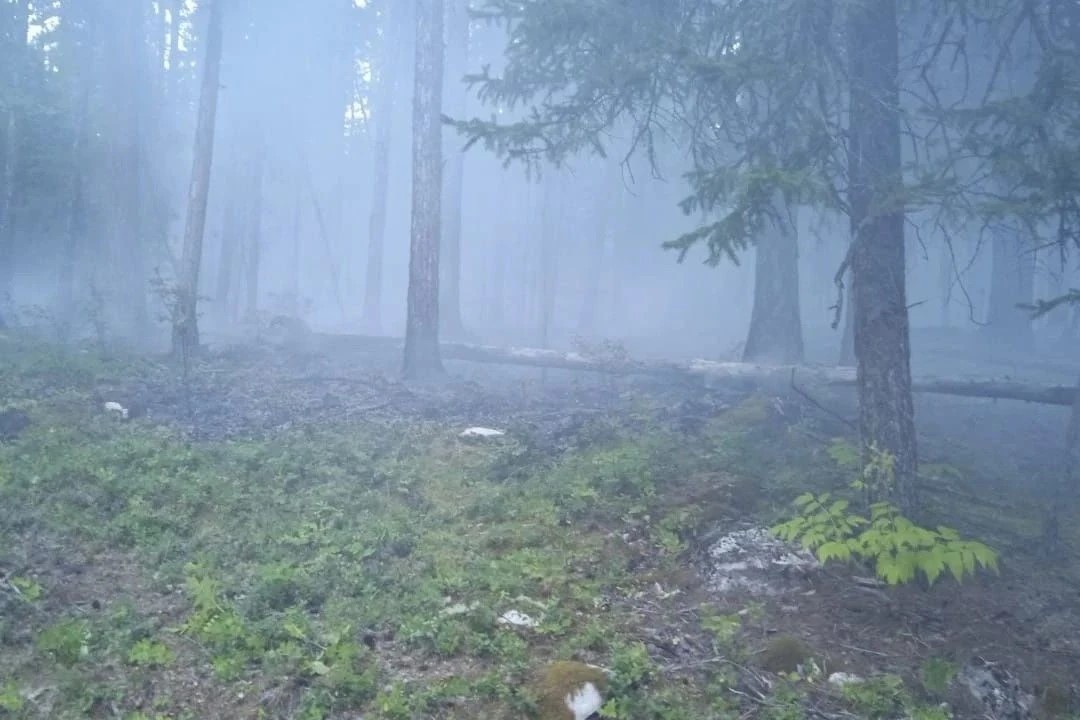 С 5 по 7 июня в лесах Иркутской области ликвидировали 11 возгораний 