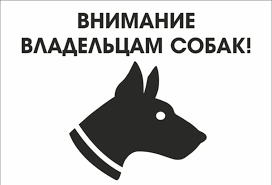 Отлов безнадзорных собак на территории МО "Новонукутское"