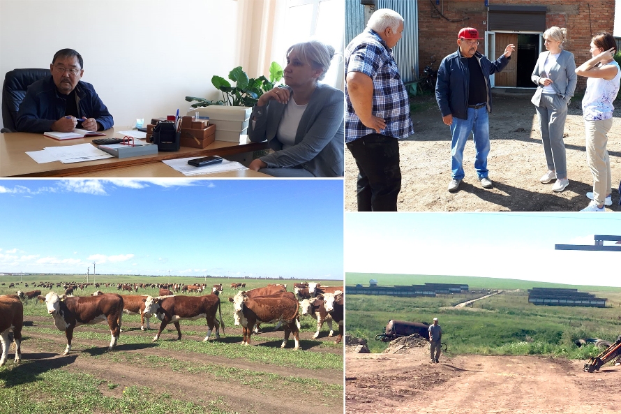 Обмен опытом: делегация Чунского района посетила сельскохозяйственное предприятие «Приморский»