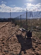 IMG-20201015-WA0013.jpg