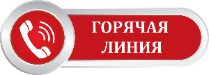 В Усть-Илимском районе заработает «горячая» линия по информированию граждан о ходе и подготовке к выборам 