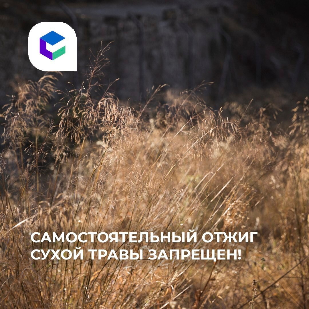 Самостоятельные отжиги сухой травы строго запрещены!