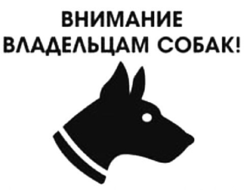 Уважаемые илимчане не забывайте о правилах выгула и содержания собак!