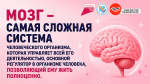 20-26 июня Неделя сохранения здоровья головного мозга
