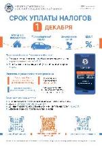Срок уплаты налогов 1 декабря