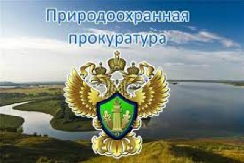 Усть-Илимской межрайонной природоохранной прокуратурой проведена проверка исполнения законодательства при обращении с медицинскими отходами