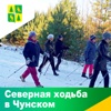 В Чунском округе начал работу клуб северной ходьбы «Тайга»