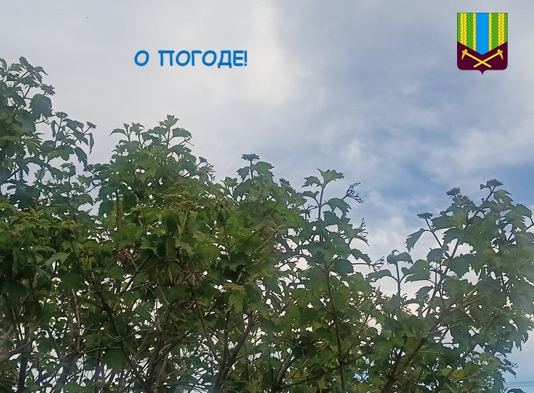 Предупреждение об опасных и неблагоприятных метеорологических явлениях погоды