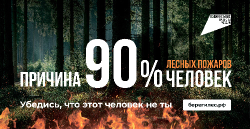 На опережение стихии: профилактика и борьба с лесными пожарами