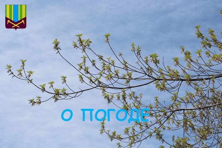 Предупреждение об опасных и неблагоприятных метеорологических явлениях погоды