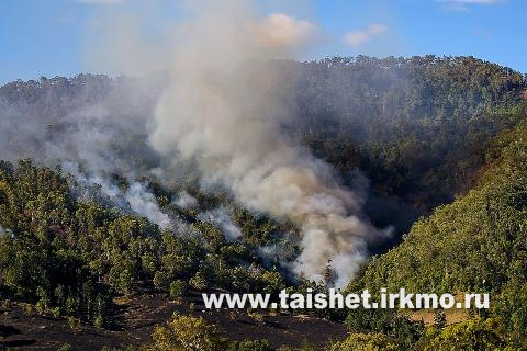 Обстановка с лесными пожарами в Тайшетском районе стабильная
