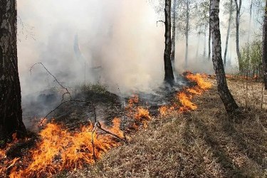 Неделя 112: пожары и ДТП