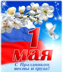 Поздравление мэра Тайшетского района с 1 мая