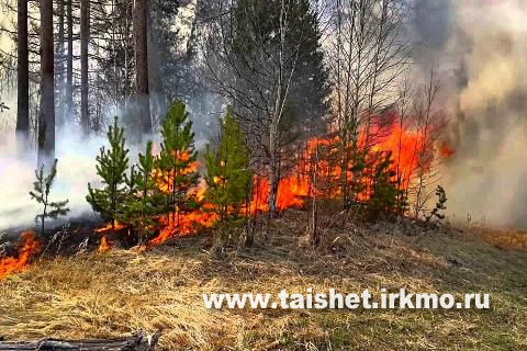 Оперативная информация о ситуации с лесными пожарами на 13 мая