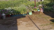 _DSC0257.JPG