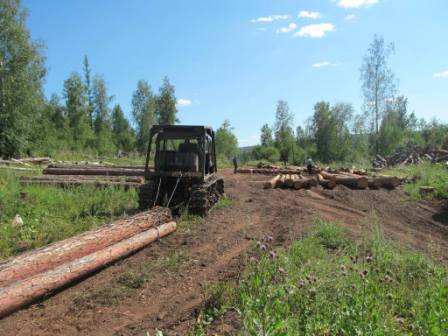 Сотрудники МО МВД России Боханский             выявили незаконную рубку деревьев            на территории МО «Олонки» 