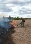 Зарегистрирован 15-й по счету ландшафтный пожар