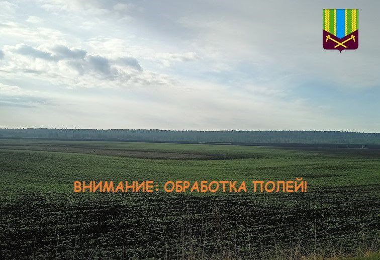 Внимание: обработка полей!