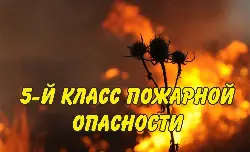 ВНИМАНИЕ! В ВЫХОДНЫЕ ДНИ ПРОГНОЗИРУЕТСЯ ВЫСОКИЙ 5 КЛАСС ПОЖАРООПАСНОСТИ ЛЕСОВ!