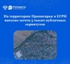 На территории Приангарья в ЕГРН внесено почти 5 тысяч публичных сервитутов 