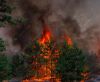 Памятка по действиям при возникновении лесного пожара