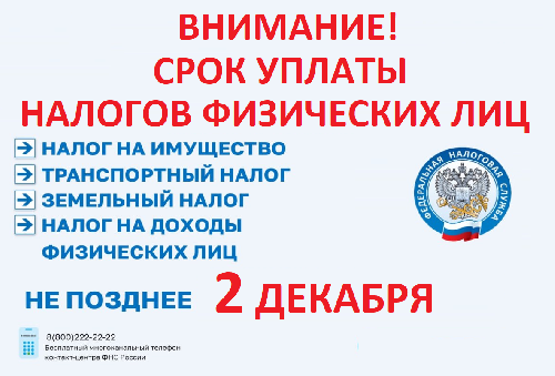 Оплатить имущественные налоги и НДФЛ физическим лицам нужно не позднее 2 декабря
