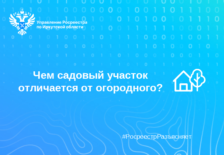 Чем садовый участок отличается от огородного? Чем садовый участок отличается от огородного?