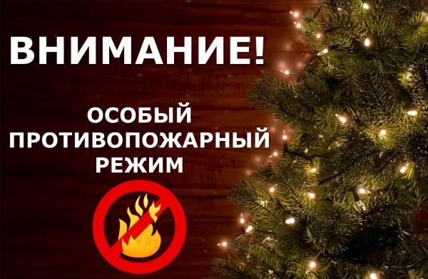 На территории Иркутской области с 29 декабря вводится особый противопожарный режим