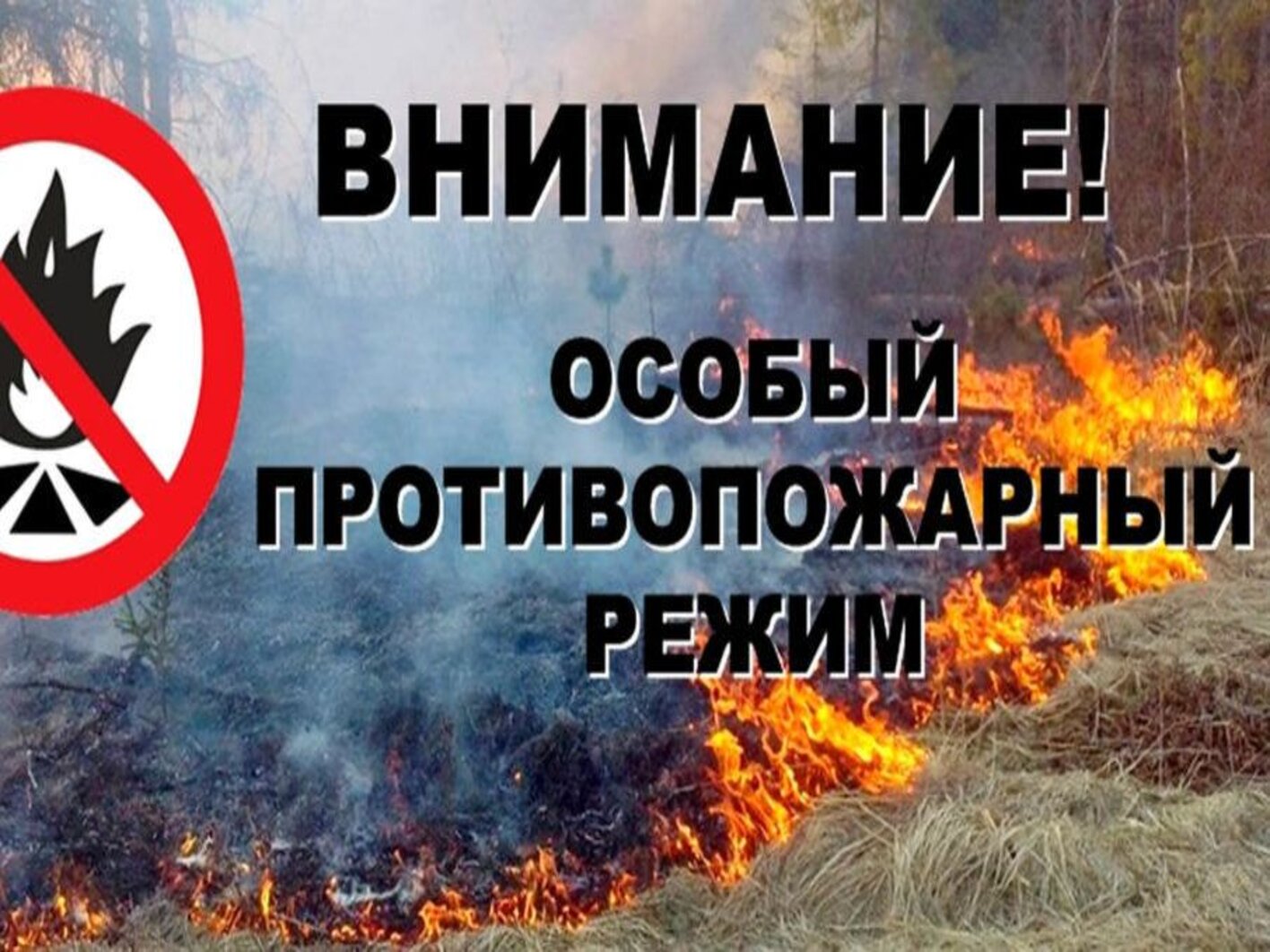С 29 апреля на территории Черемховского района вводится особый противопожарный режим