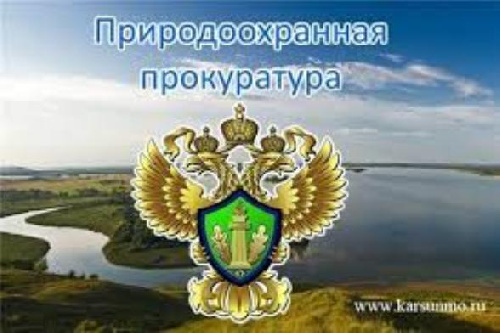 Усть-Илимская межрайонная природоохранная прокуратура сообщает