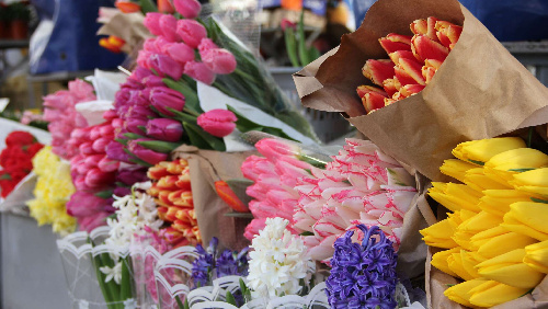 ЦВЕТОЧНЫЕ БАЗАРЫ. ИНФОРМАЦИЯ ДЛЯ ПРЕДПРИНИМАТЕЛЕЙ.