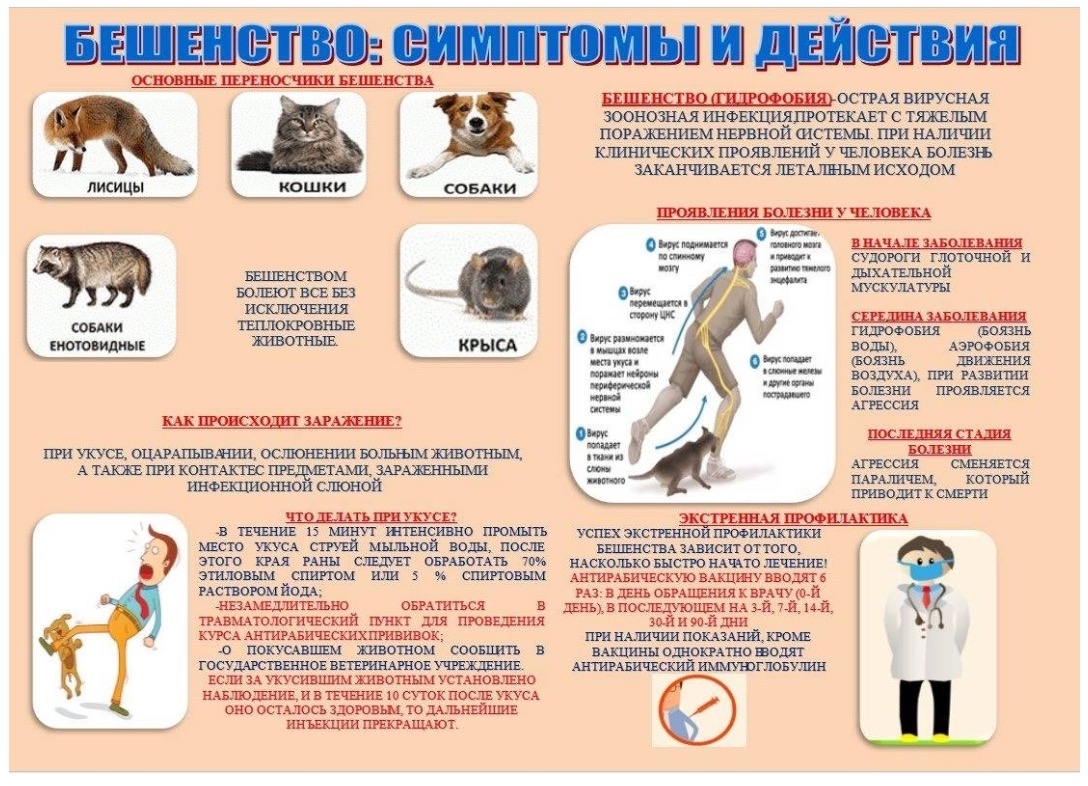 Управление Россельхознадзора по Иркутской области и Республике Бурятия (далее – Управление)