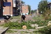 «Комфортная среда» в Лесогорске: на старте второй этап