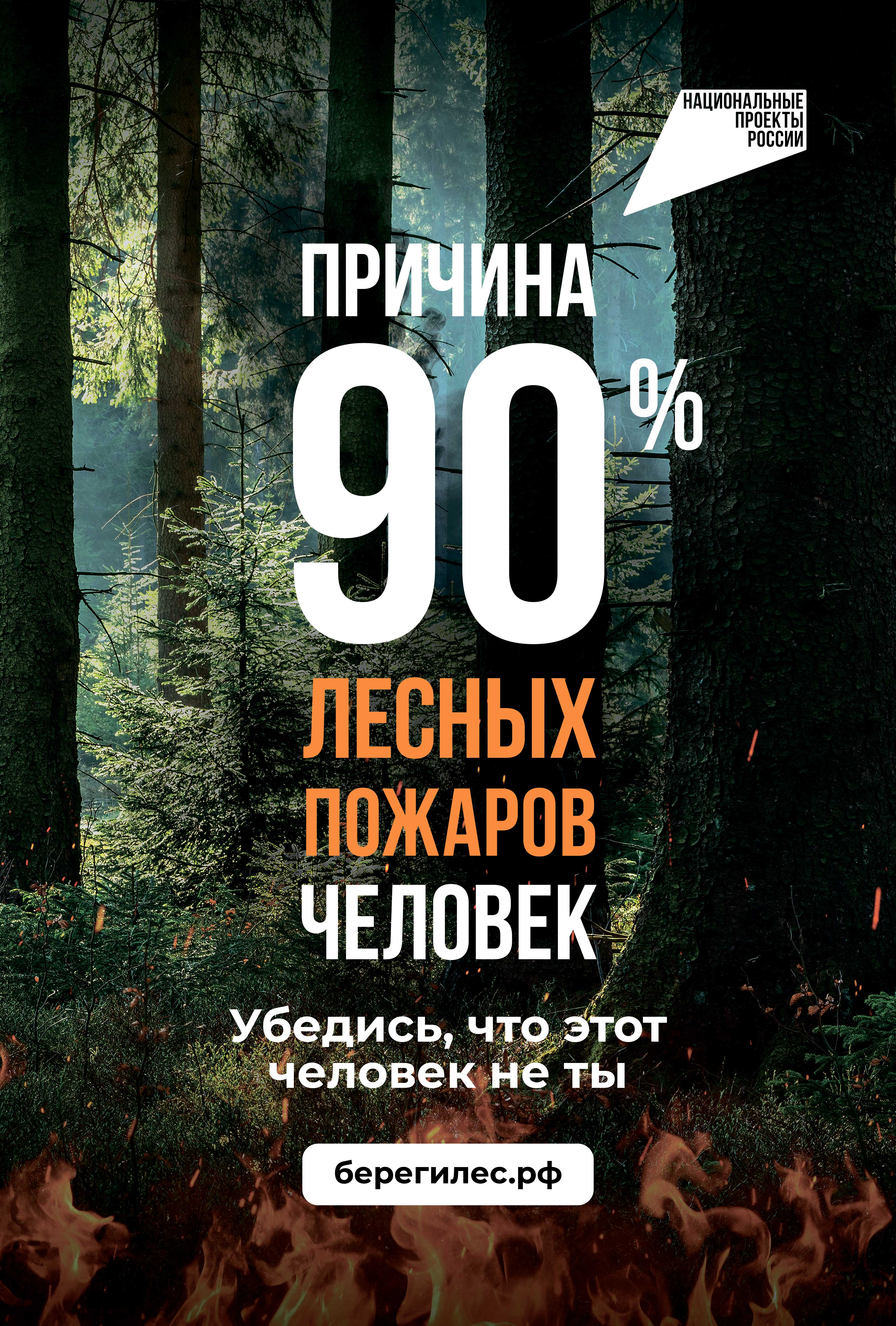 На опережение стихии: профилактика и борьба с лесными пожарами