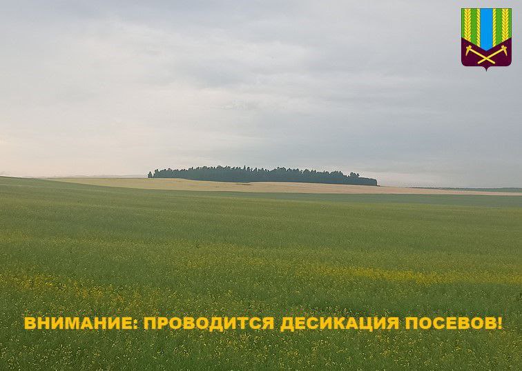 Внимание: проводится десикация посевов!