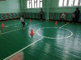 Смешанный хоккей