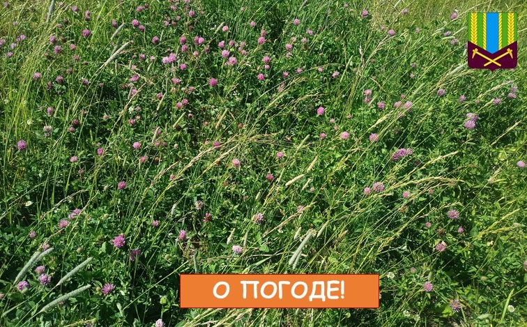 Предупреждение об опасных и неблагоприятных метеорологических явлениях погоды