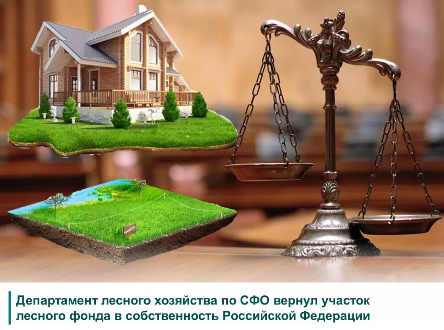 Департаментом лесного хозяйства по СФО ведется активная работа по пресечению незаконных манипуляций с государственными землями лесного фонда