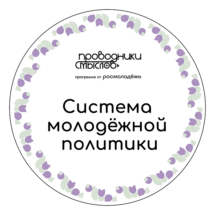 Онлайн-курс «Система молодёжной политики»,  созданный в рамках Всероссийской программы  «Проводники смыслов».