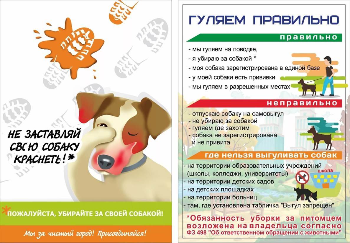 Правило гармоничного соседства