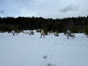 лыжные гонки